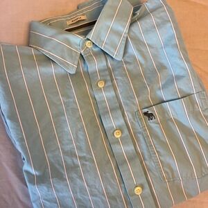 Abercrombie Fitch Mens Light Blue Stripe‎ Muscle Fit Button Down Shirt Size L